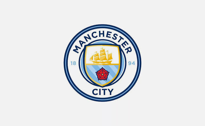 Manchester City Fan Versions